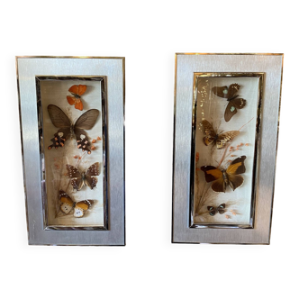 Pair of butterfly frames