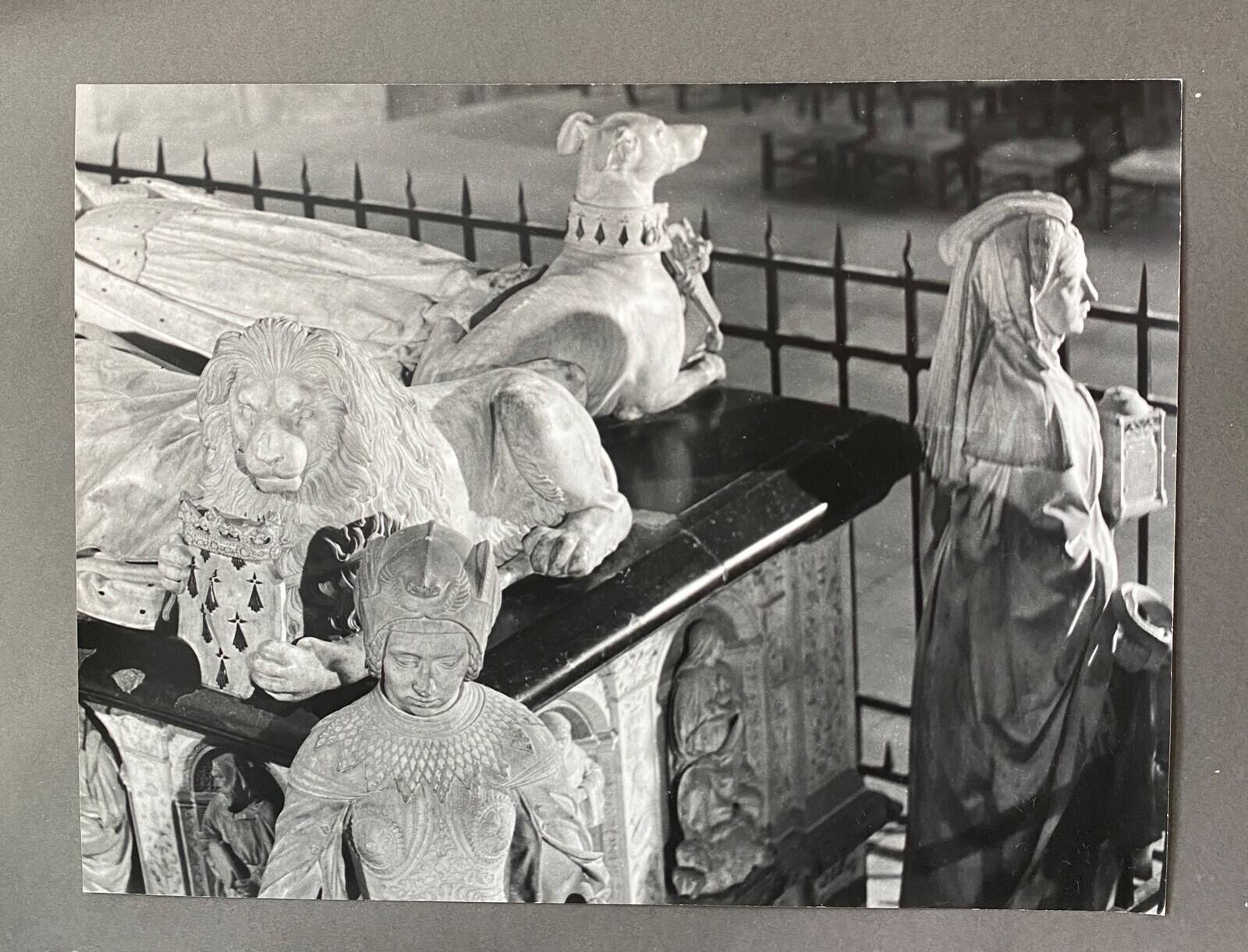 Silver photo Bernard Darot XXth Lion