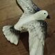 Vintage ceramic seagull