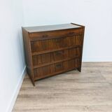 Vintage Scandinavian wooden shoe cabinet