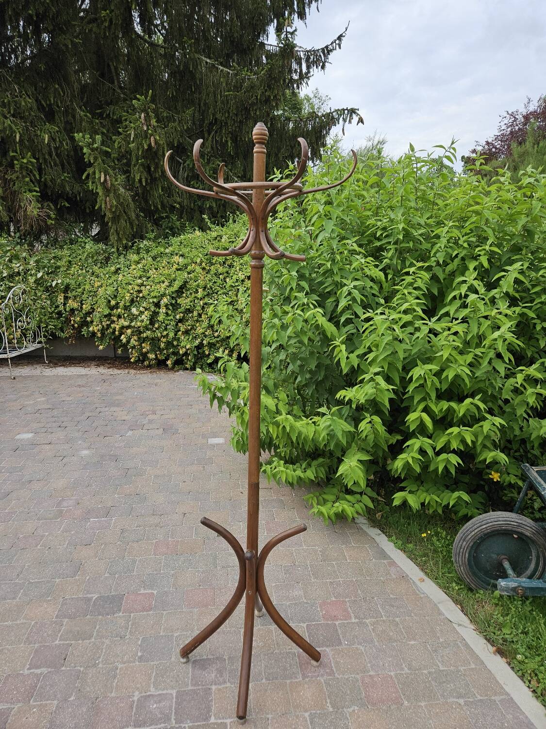 Parrot coat rack