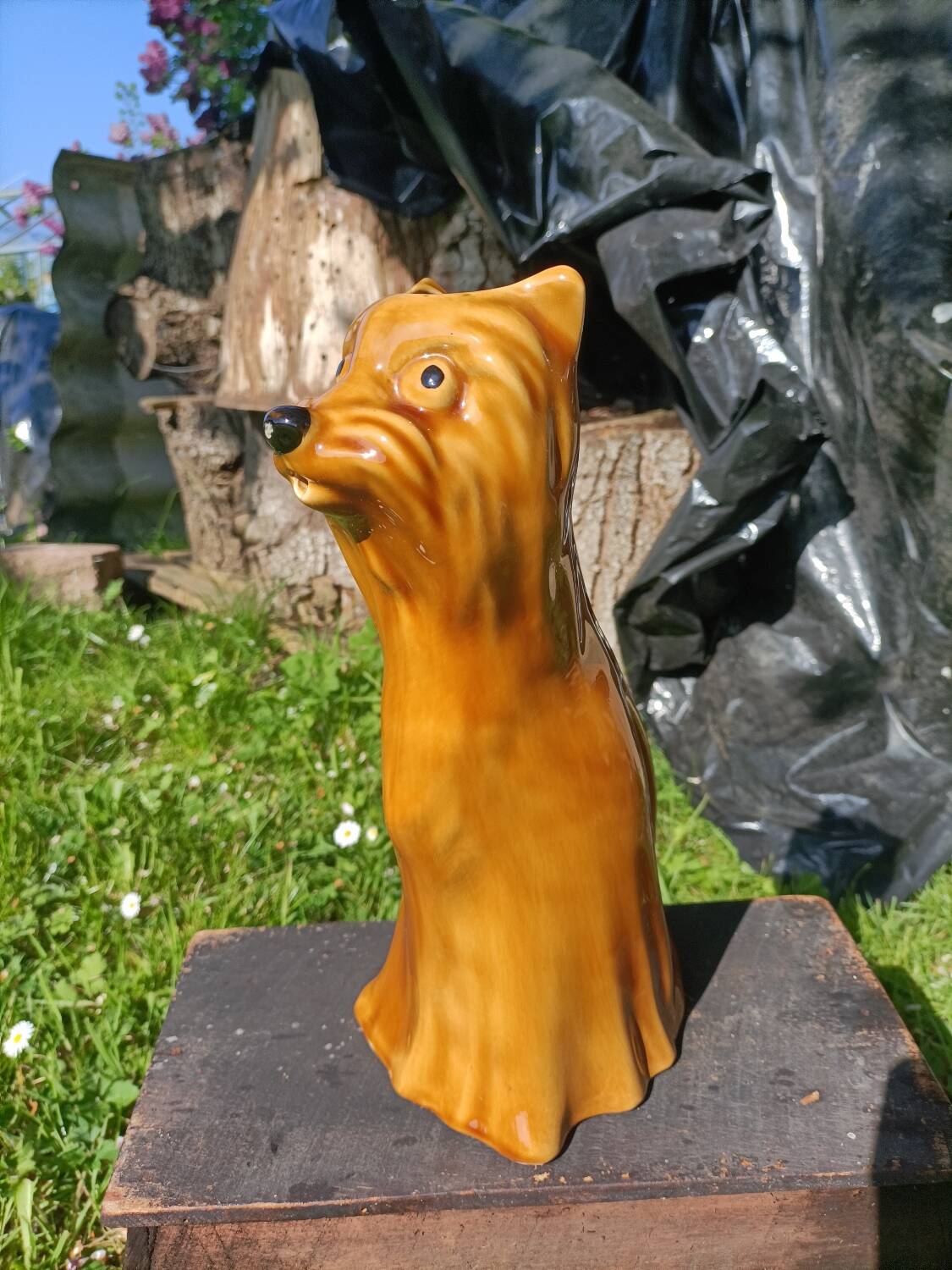 Retro Dog Pitcher/Carafe