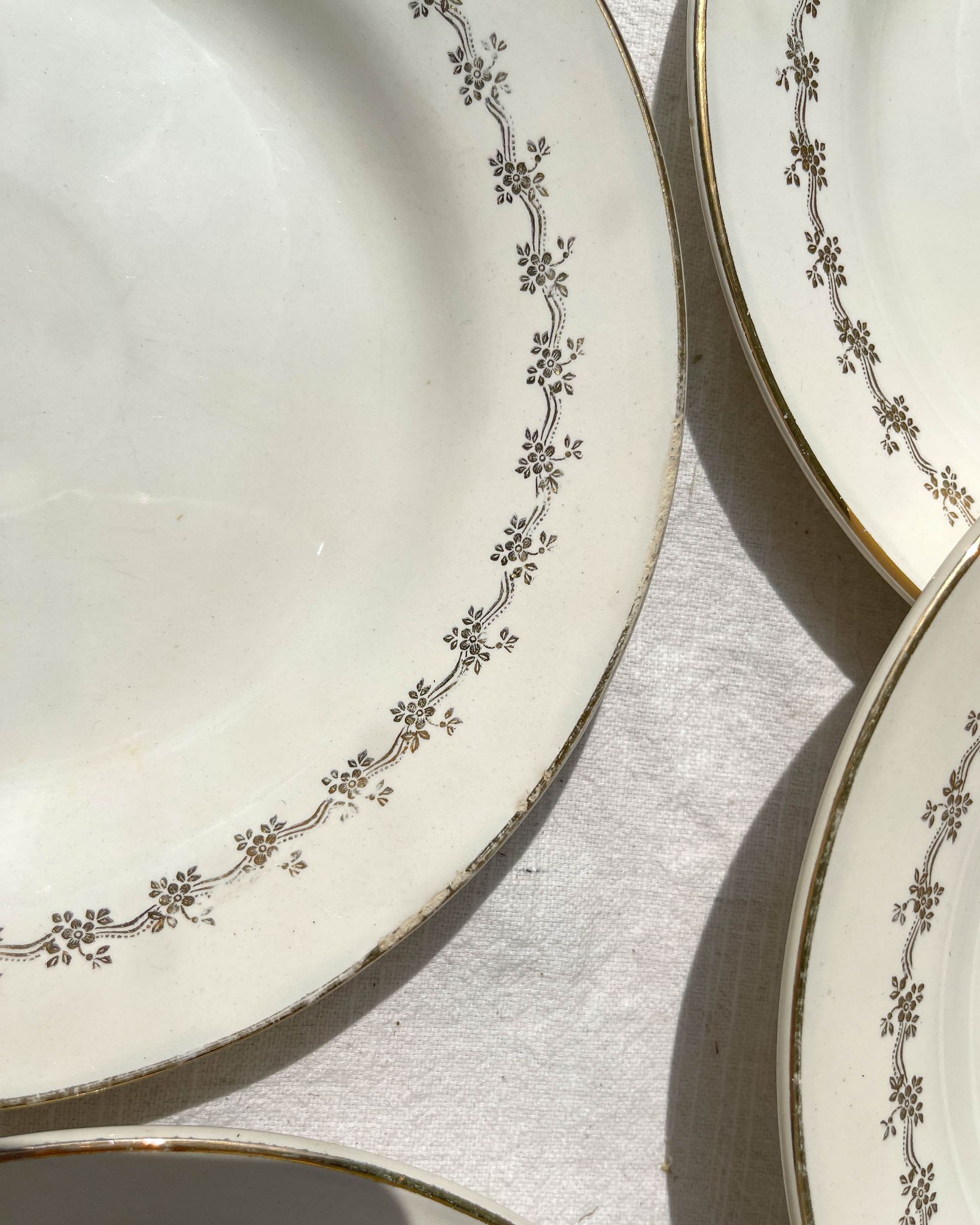 6 opaque porcelain dinner plates, Digoin model "Suzy"
