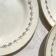 6 opaque porcelain dinner plates, Digoin model "Suzy"