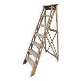 Large stepladder