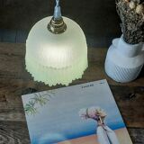 Pair vintage pendant lamp
