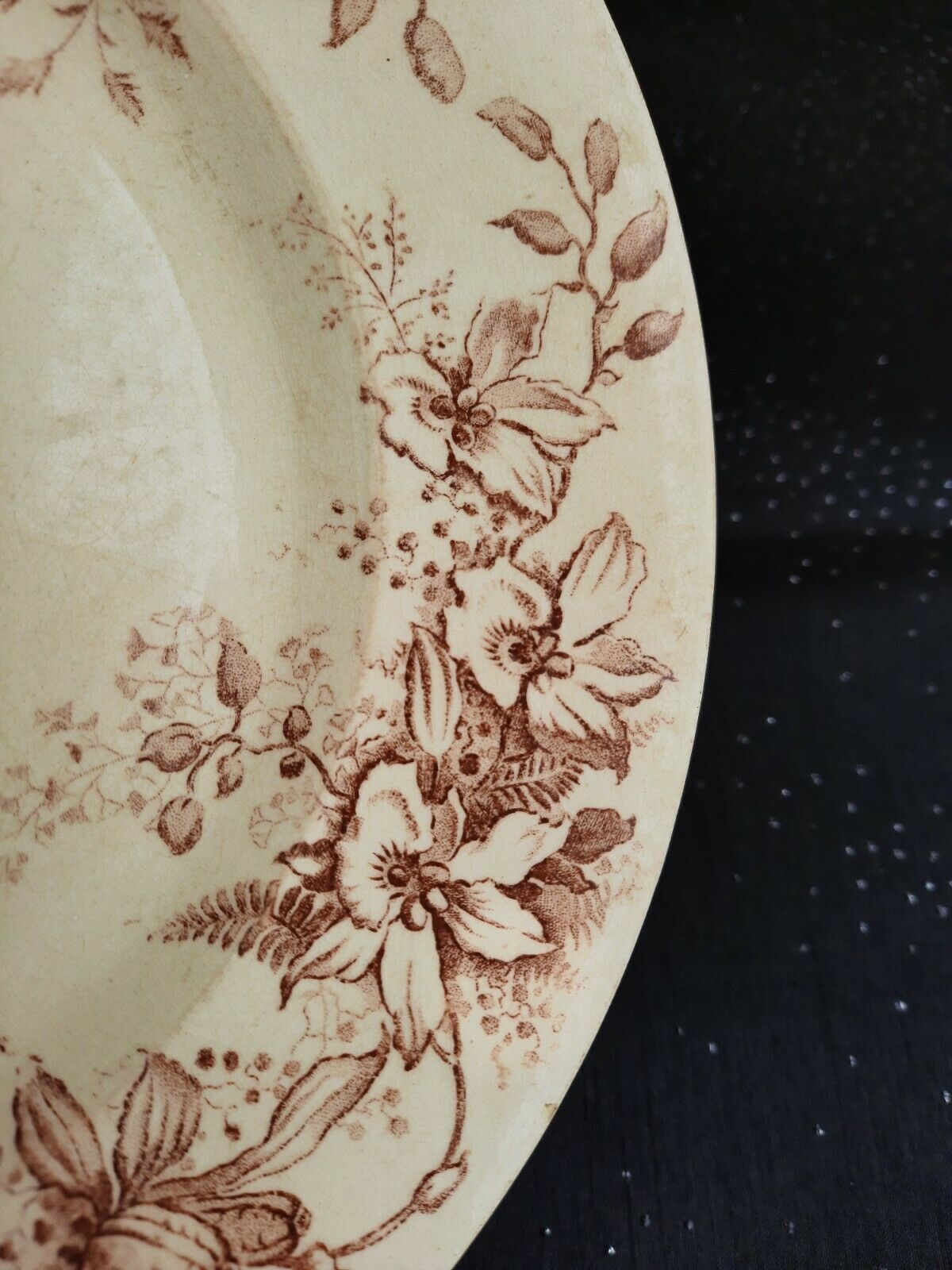 Salins earthenware plates, fer terre