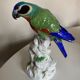 19th century Saxony porcelain parrot signed