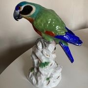 Perroquet en porcelaine de Saxe 19e signée