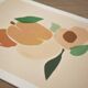 Duo abricots, oranges A4