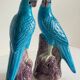 Pair of phenix birds chinese porcelain early 20th century