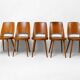 5 chaises Baumann Mondor, 1950-1960