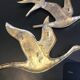 Birds in brass flight