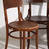 Antique bentwood dining chairs (circa 1920). Set of 4