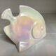 Iridescent white fish