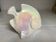 Iridescent white fish
