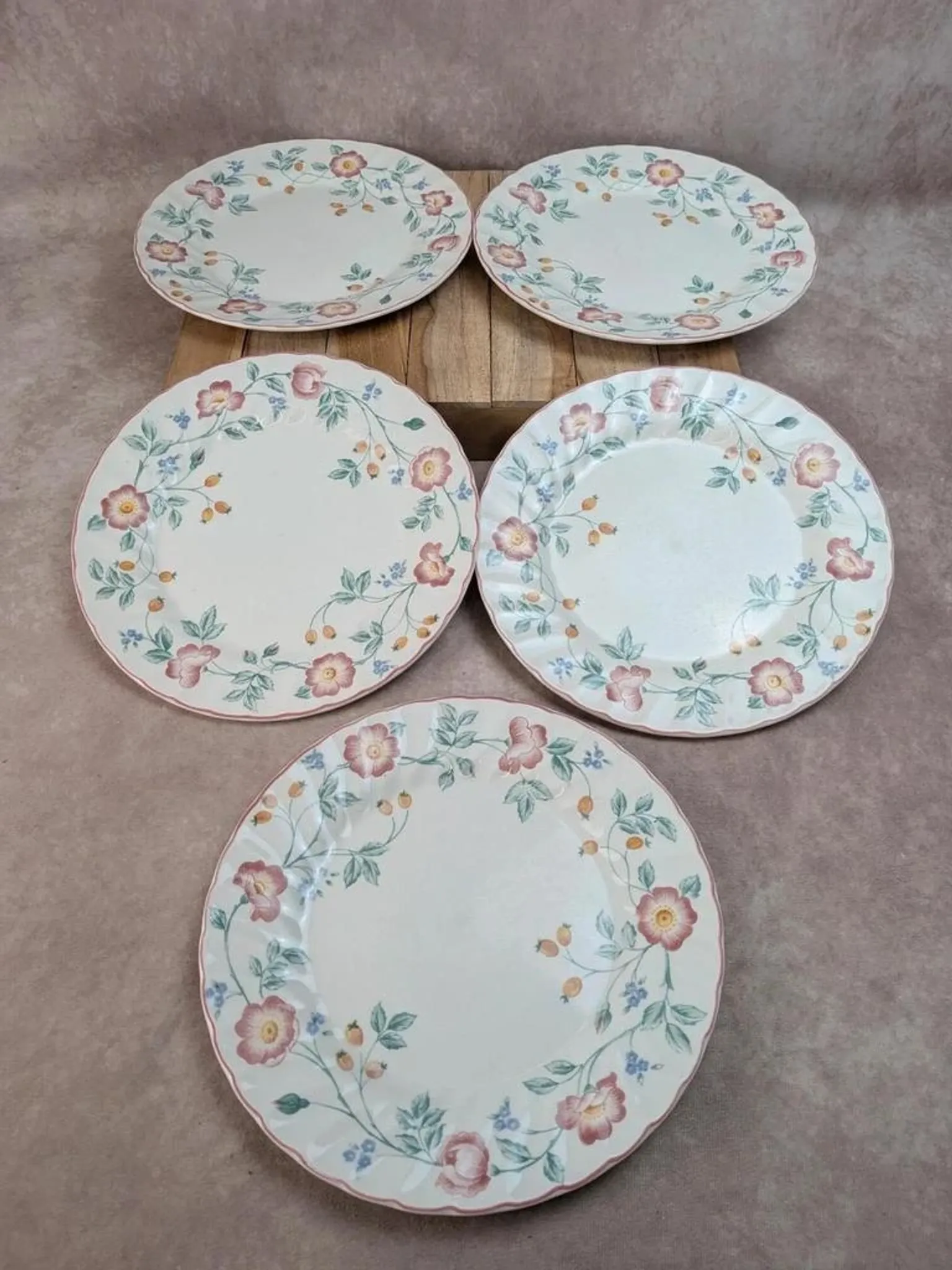 Set of 5 Churchill Briar Rose dinner plates – Vintage English earthenware