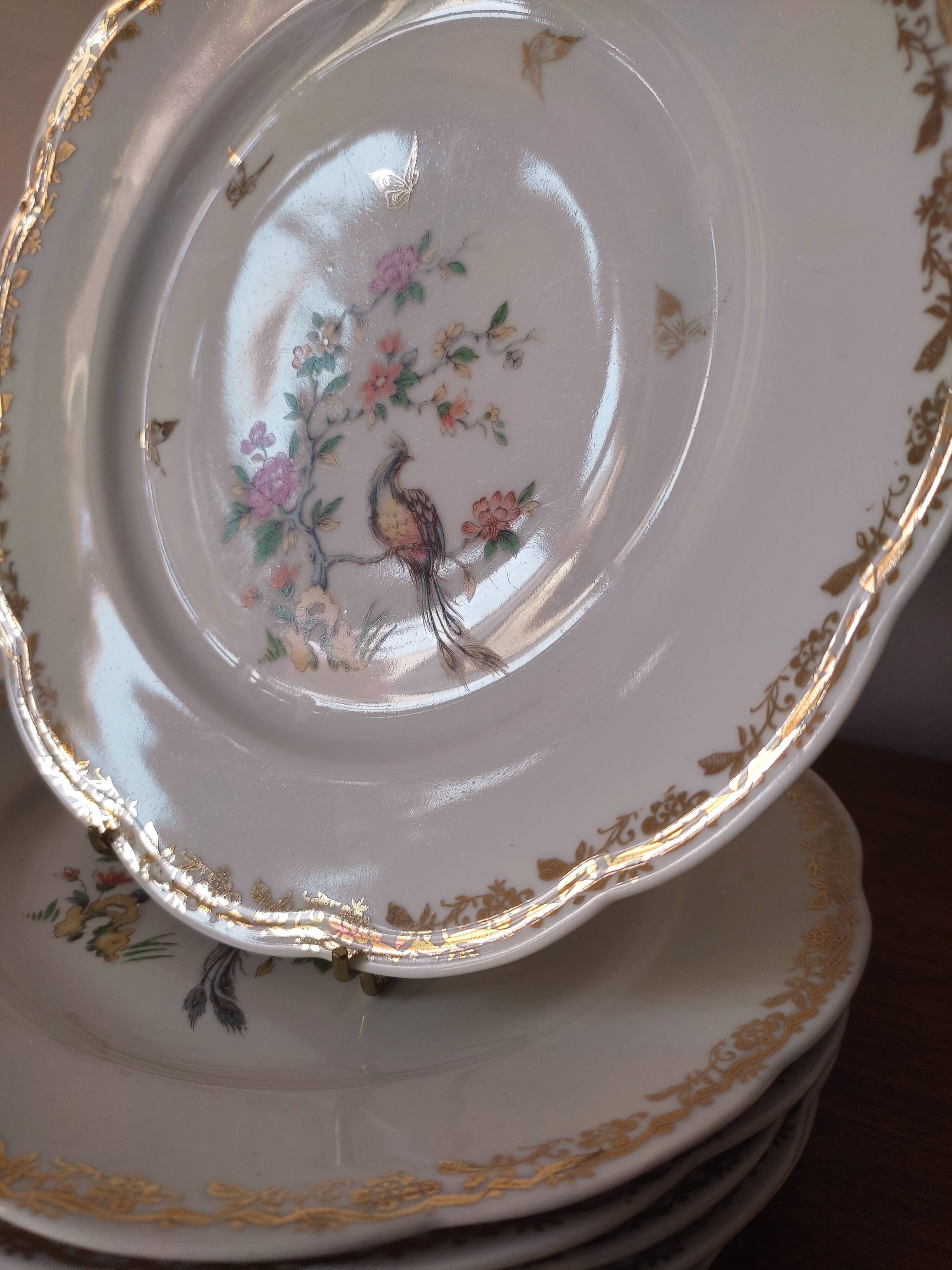 6 flat plates model bird of paradise