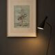 Original Engraving Bernard Louedin 1978 "Thistles of the Marsh" Signed Numbered