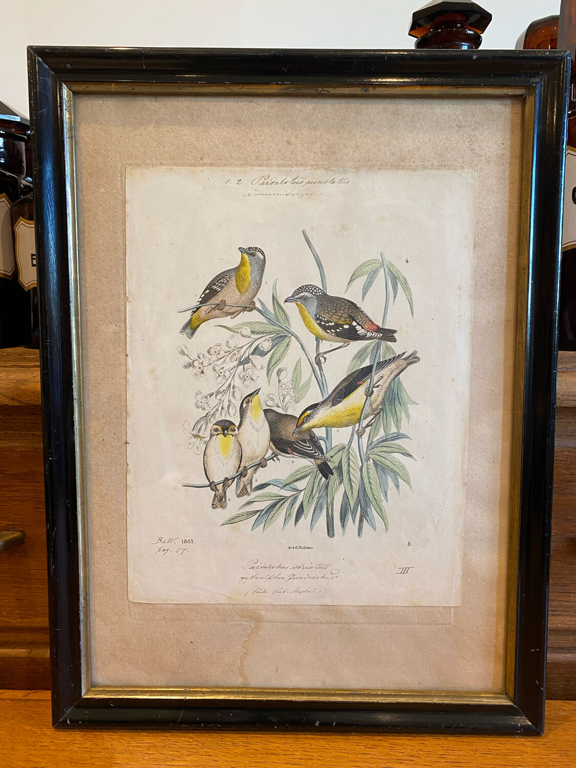 Set of decorative frames