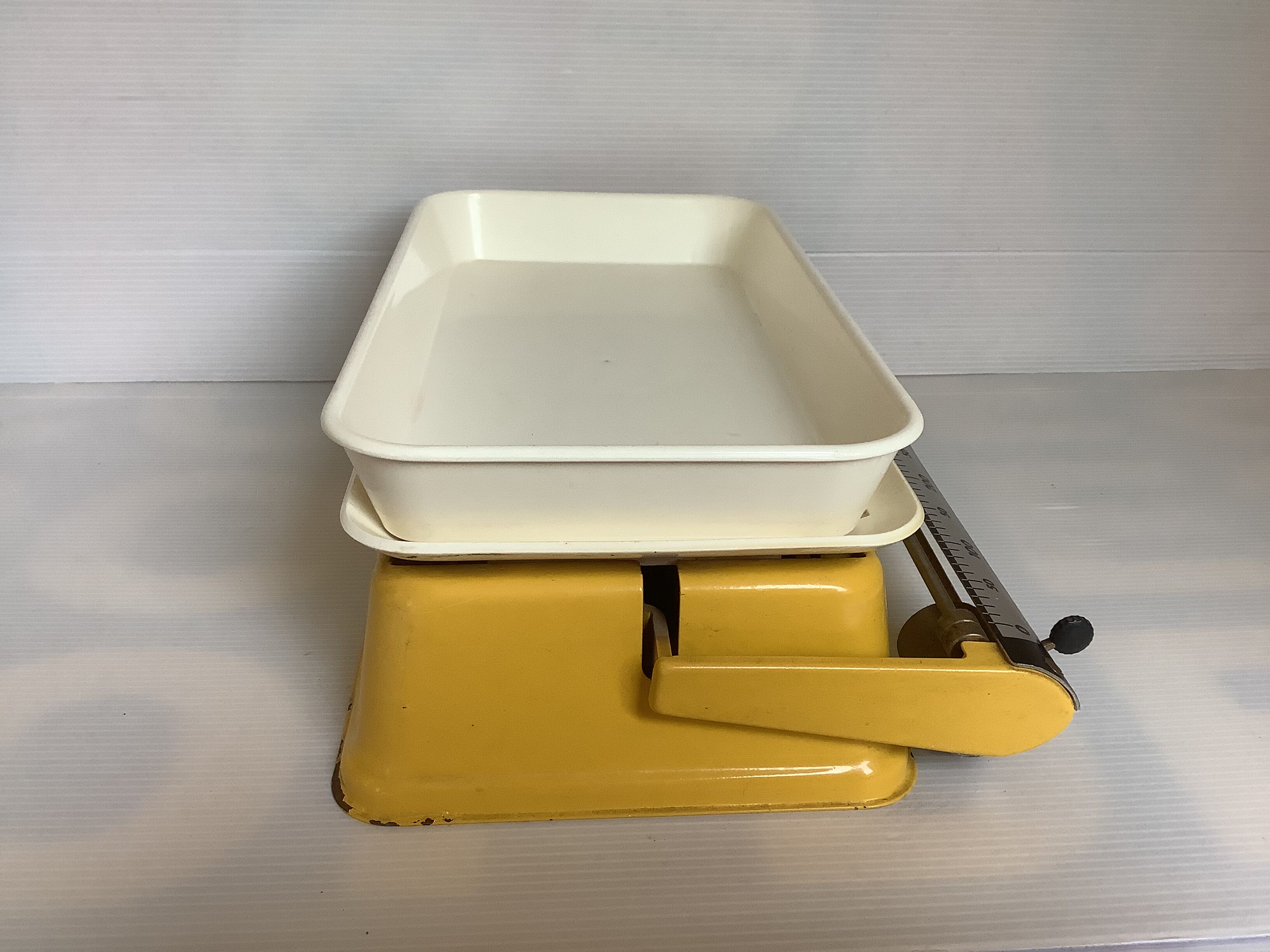 Old yellow scale
