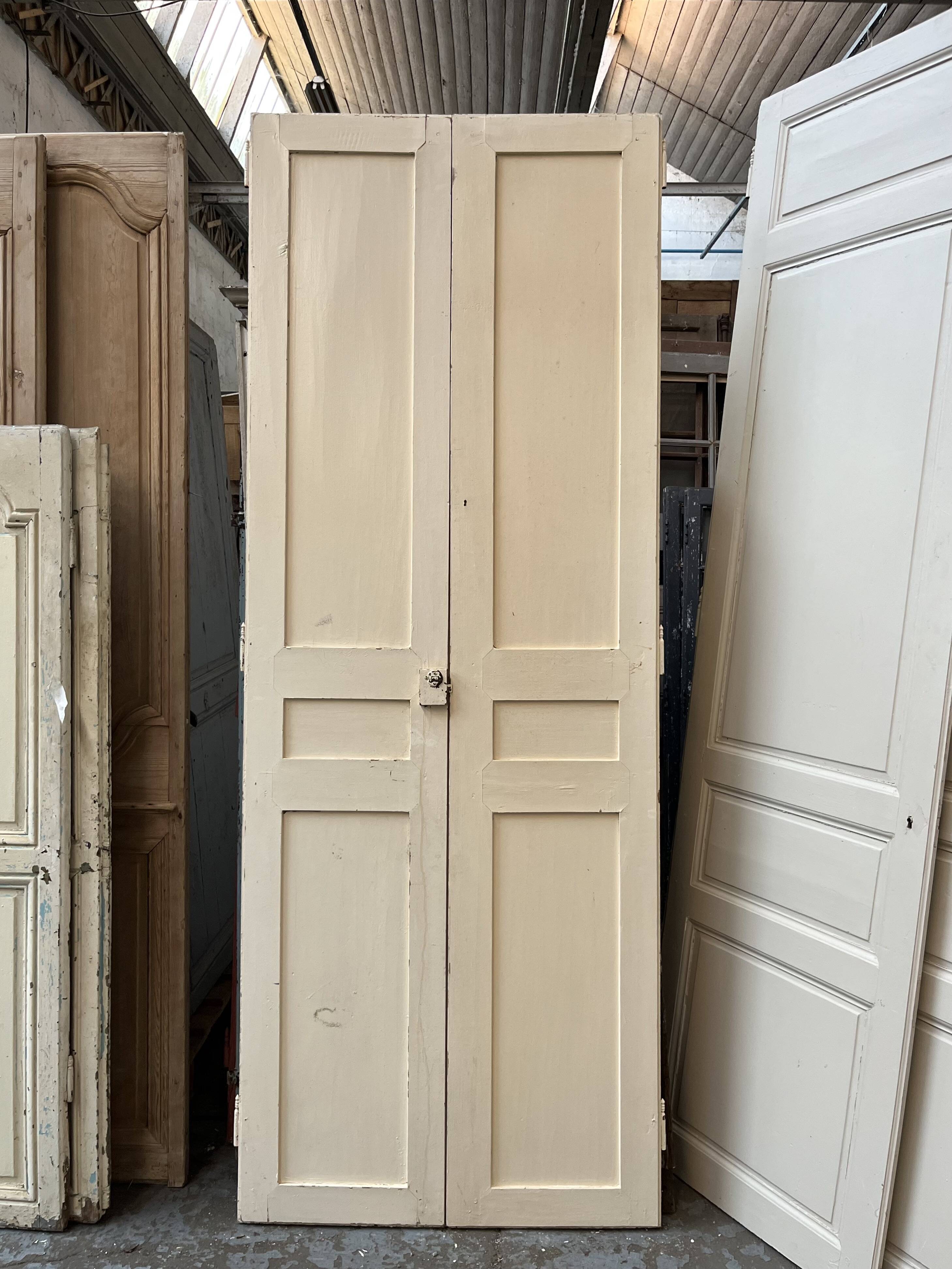 Pair of cupboard doors