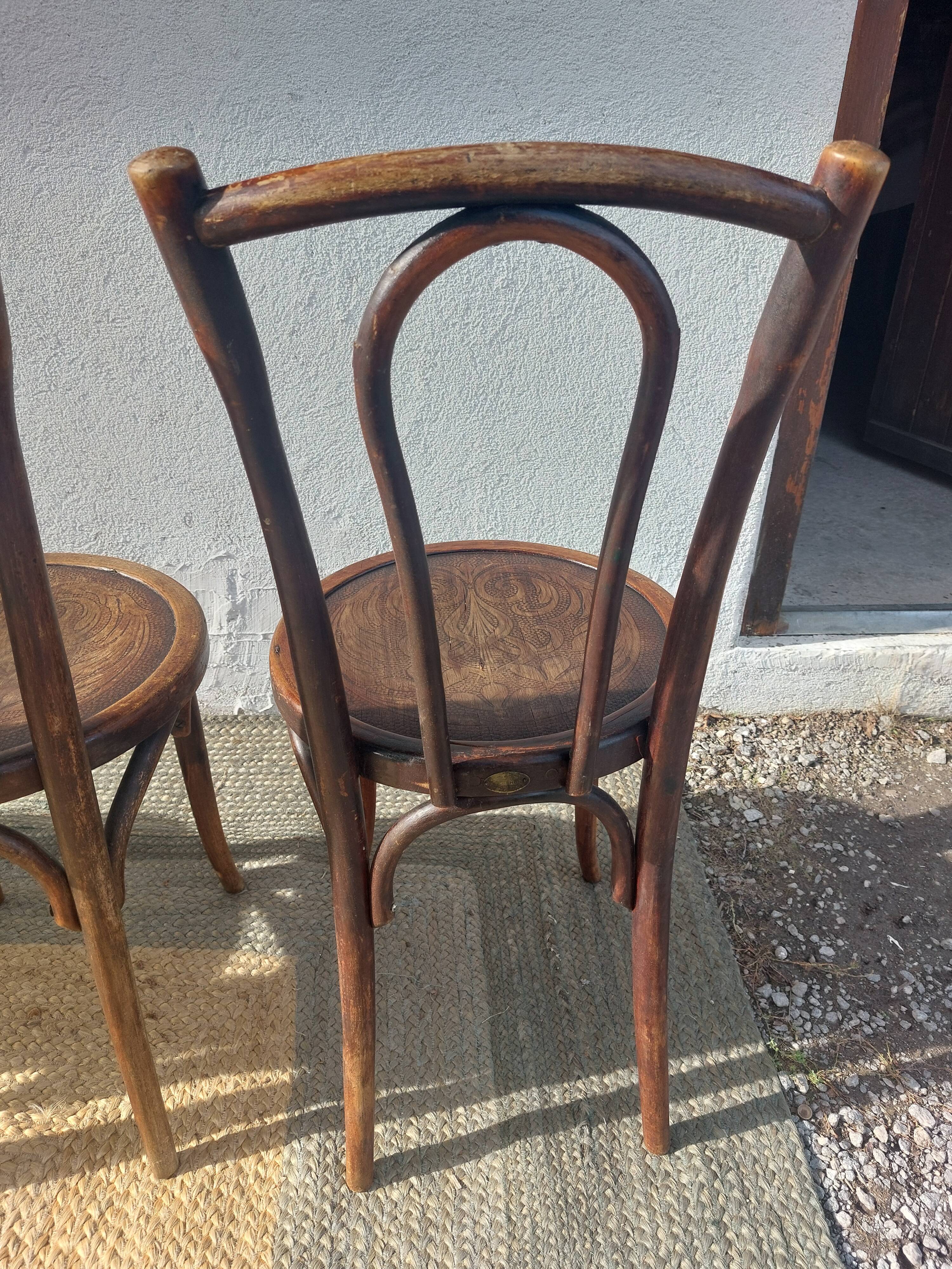 Set of 5 Buchon bistro chairs in curved wood
