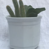 Lot of 5 caches pots in white earthenware
