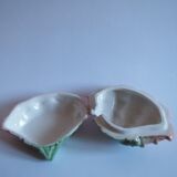 Saucière seashell in dabbling