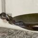 Bronze cup on a yellow Siena marble base, early 19th century.