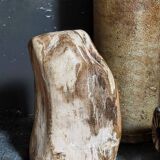 Free form sculpture in fossil wood