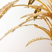Exquisite Italian Golden Palm Tree Floor Lamp with 3 Sparkling Branches 70s