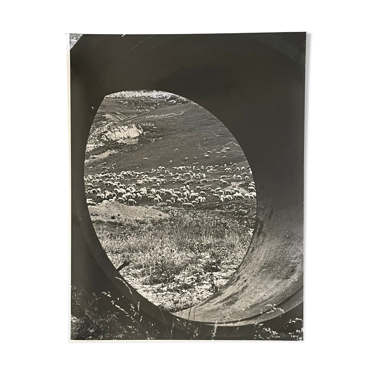 Photograph black and white silver print circa 1970