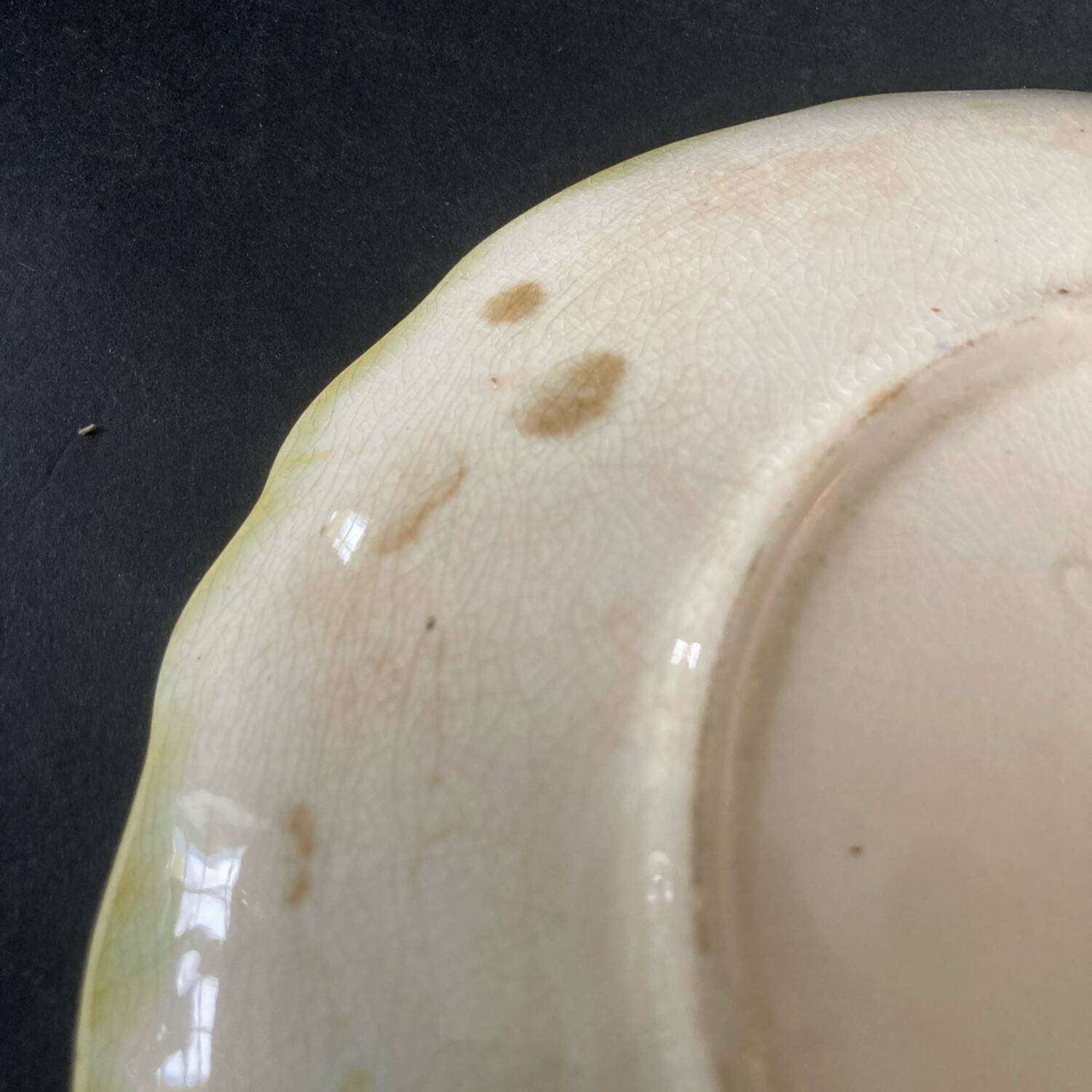 Thistle-decorated barbotine plate