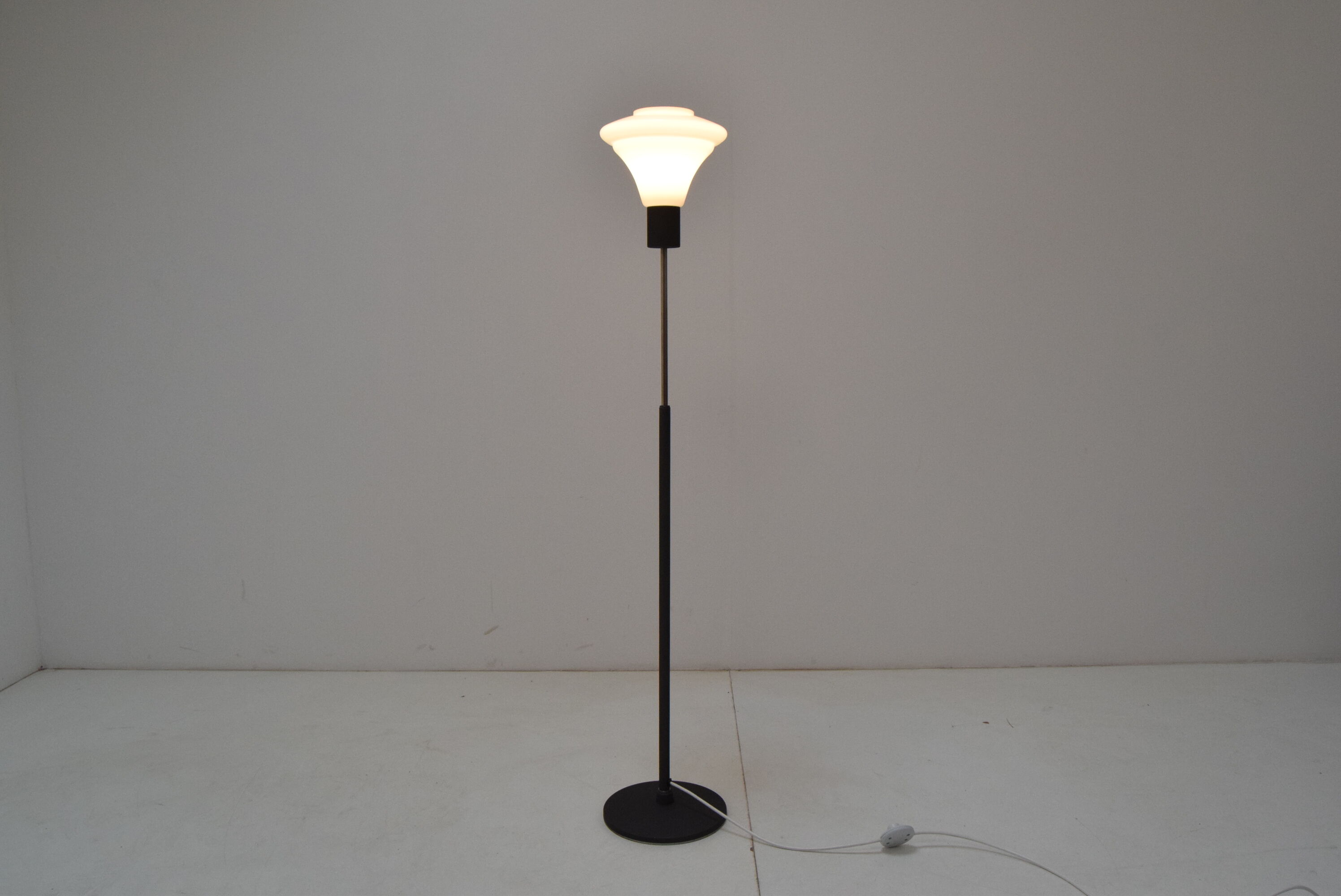 Mid-century floor lamp by Kamenicky Senov,1960