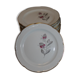 Lot of 13 Plates at Dessert Porcelaine Vierzon C.G.