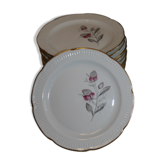 Lot of 13 Plates at Dessert Porcelaine Vierzon C.G.