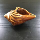 Shell ashtray