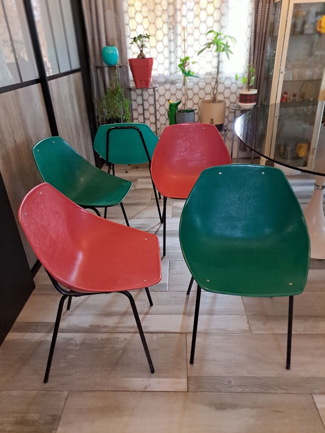 Suite of 5+1 shell chairs Pierre Guariche 1960
