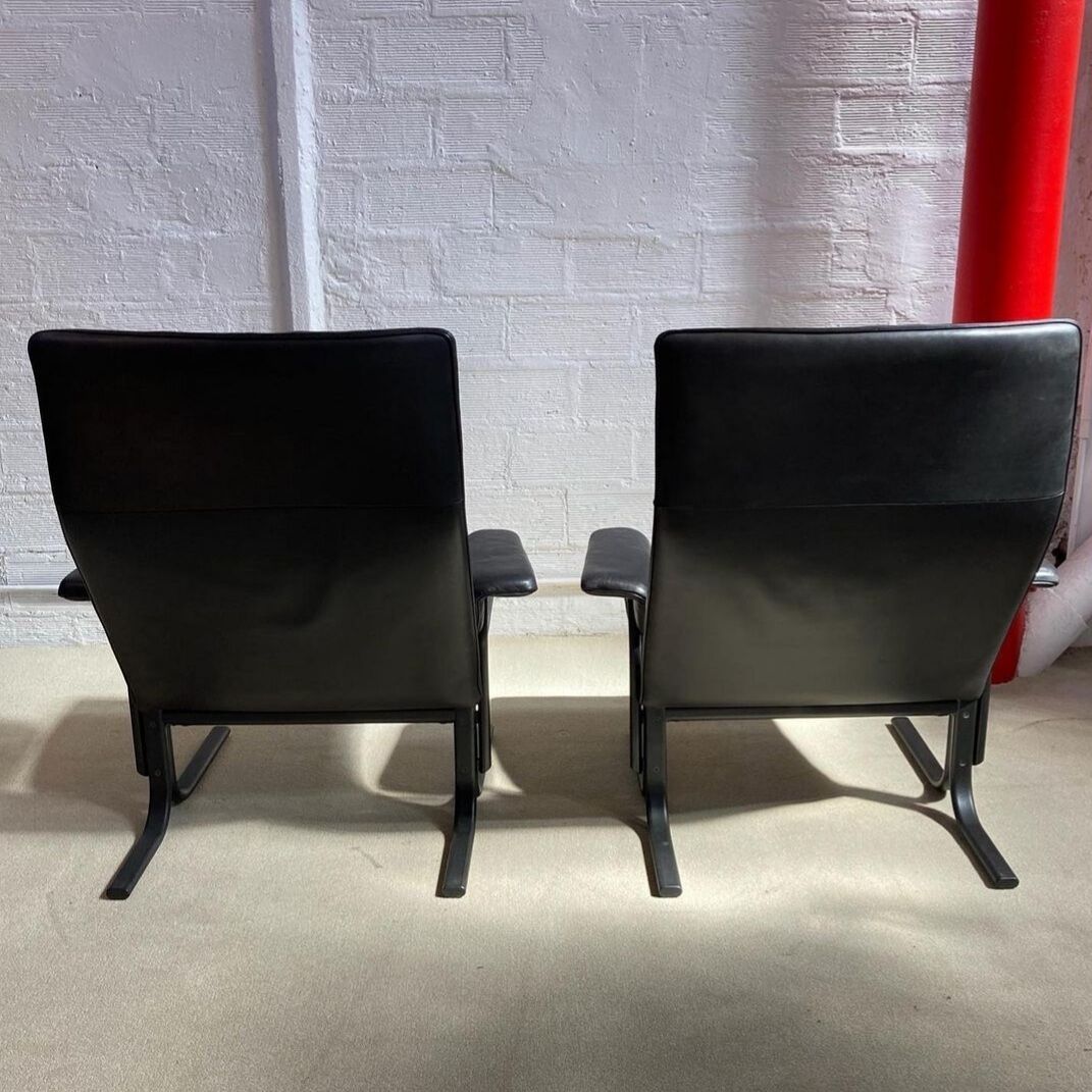Pair of leather armchairs De Sede DS 2030