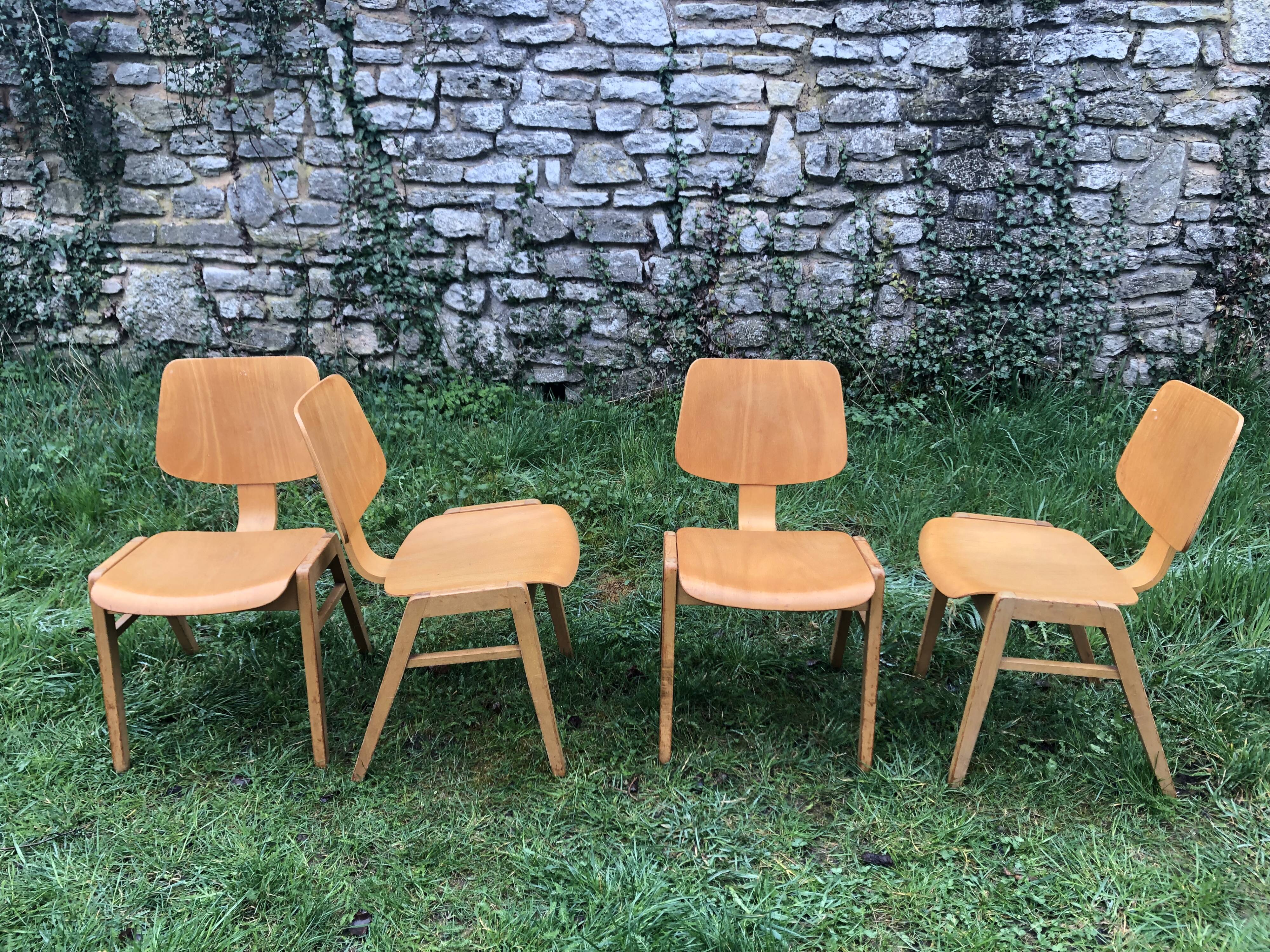Dining chairs in vintage beech 60s