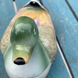 Duck in slip