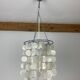 Mother-of-pearl grapevine suspension