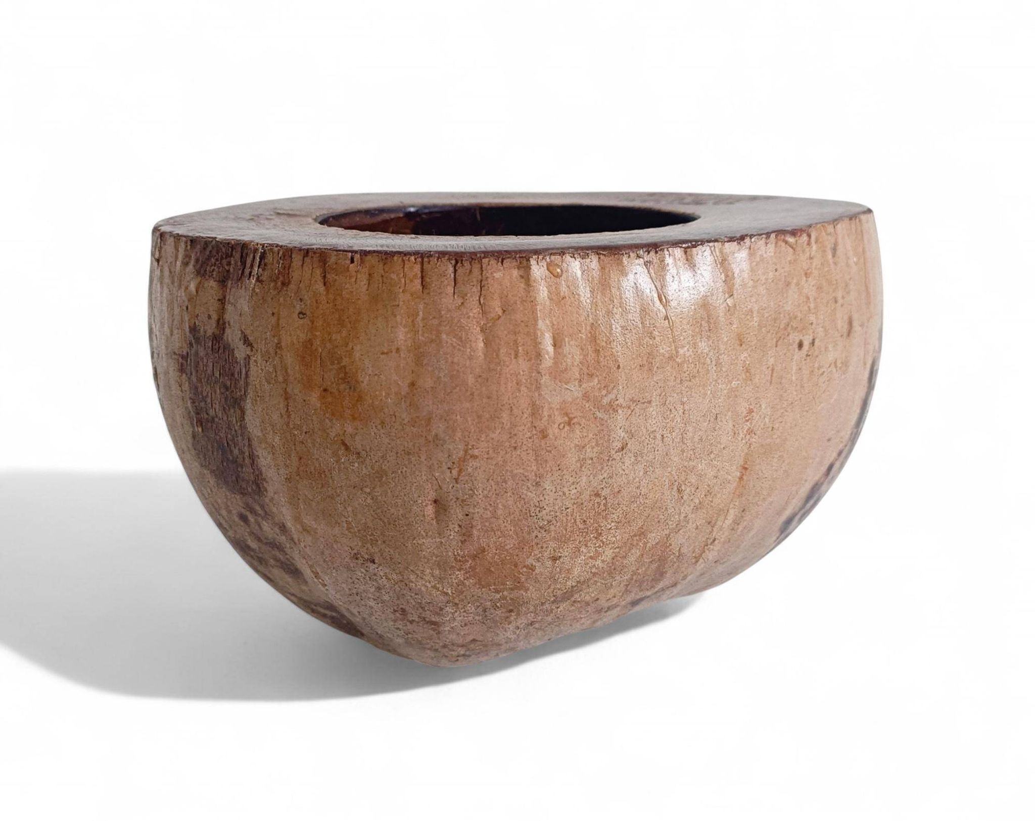 Centre de table Wabi Sabi moderne organique Coco de Mer, sculpté à la main, 19e siècle.