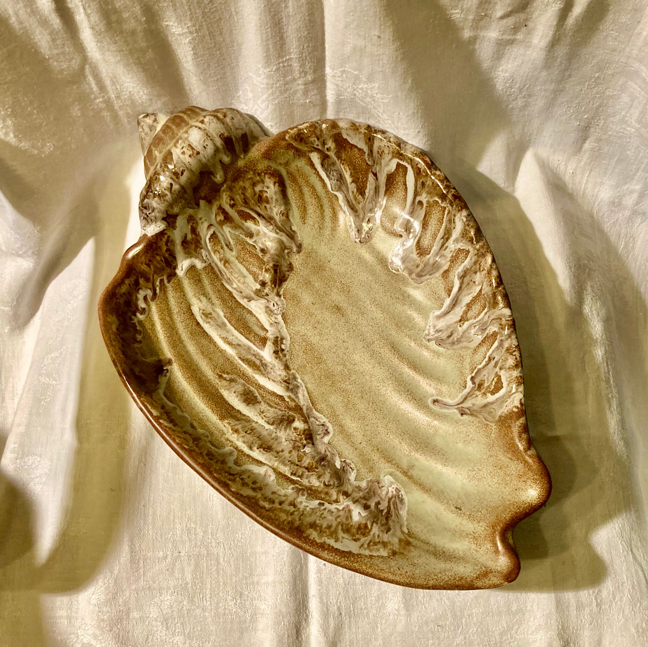 Shell fruit cup Vallauris