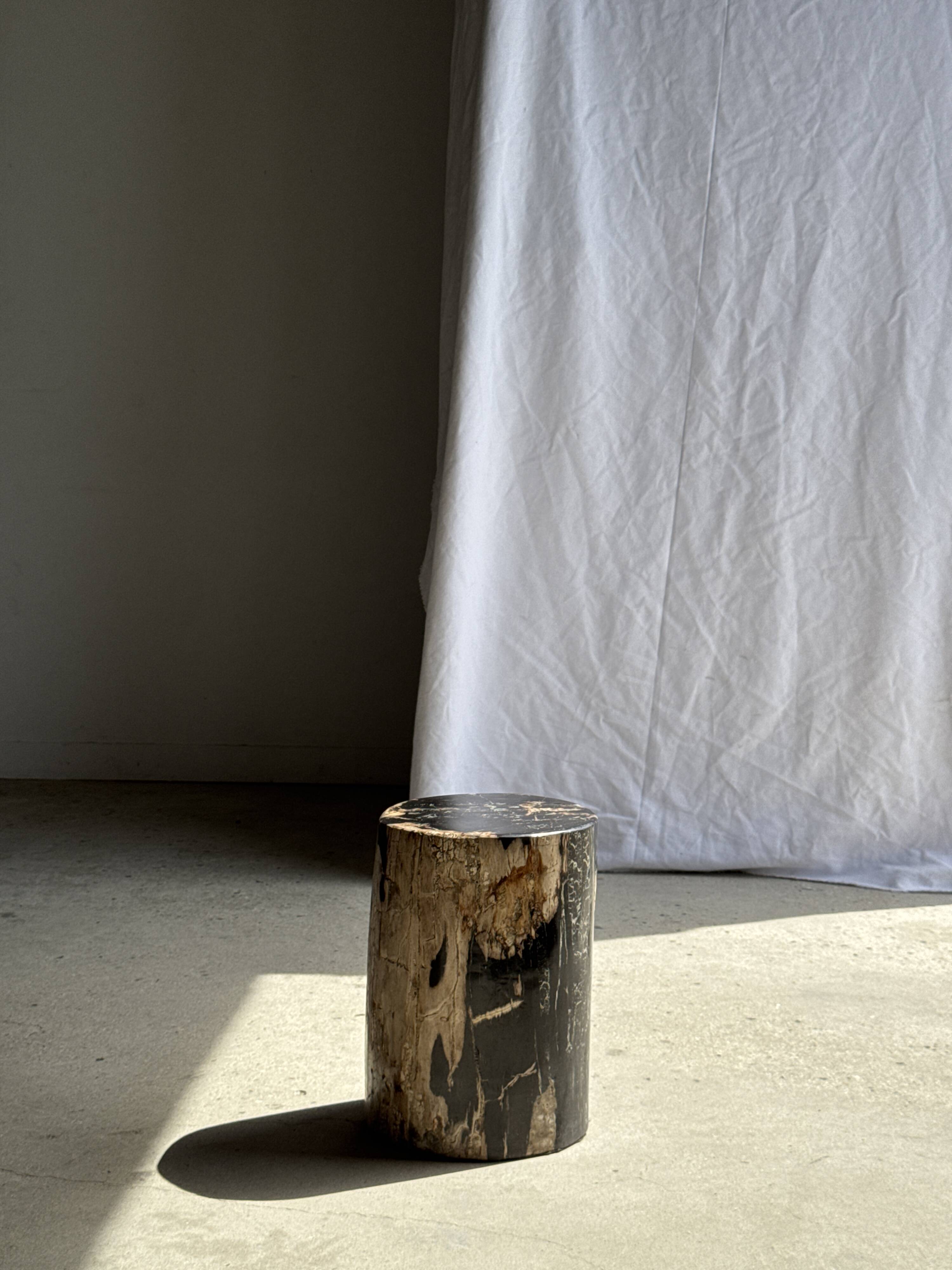 Black petrified wood side table with beige side H35 D24 - 3352