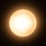 Peill & Putzler Ufo ceiling light, 1970s