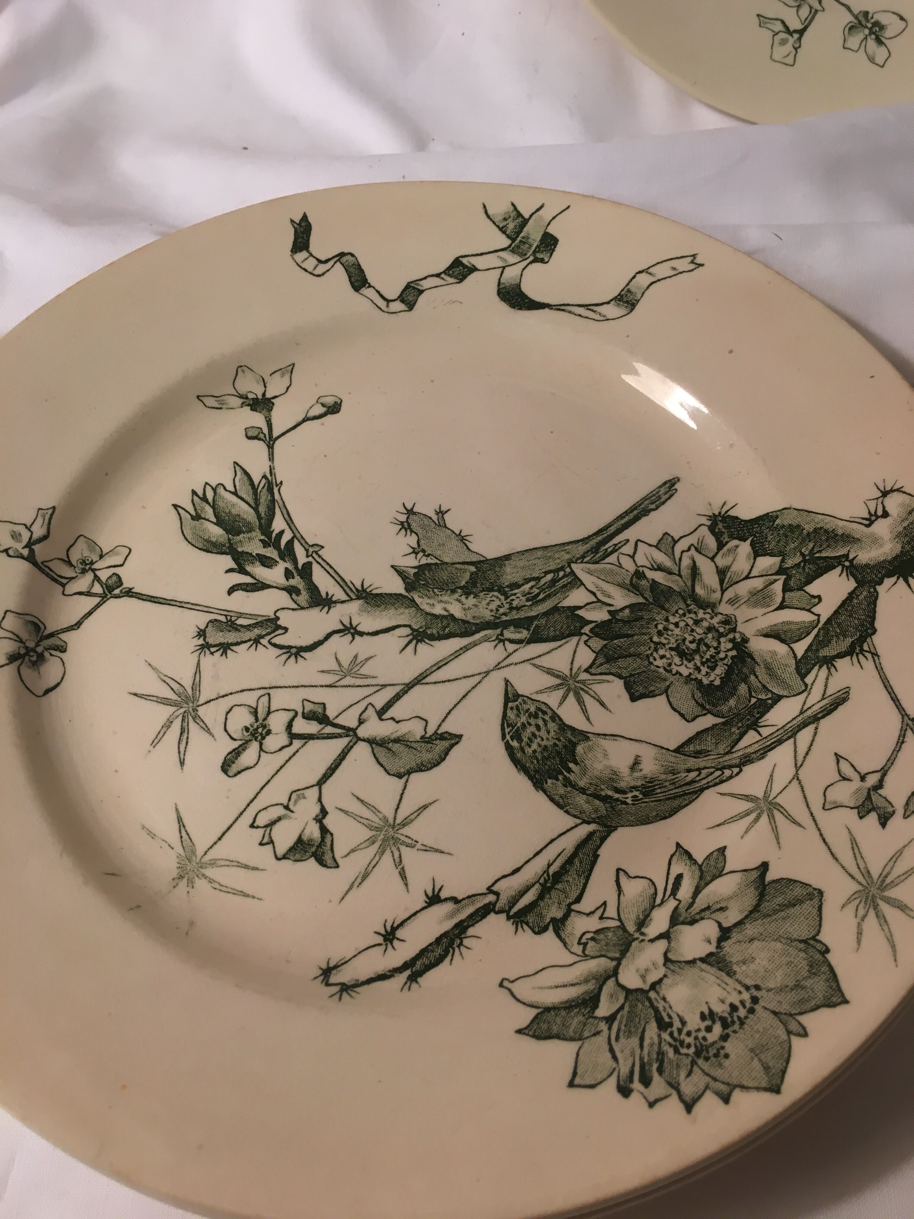 6 flat plates iron earth new Paris depot