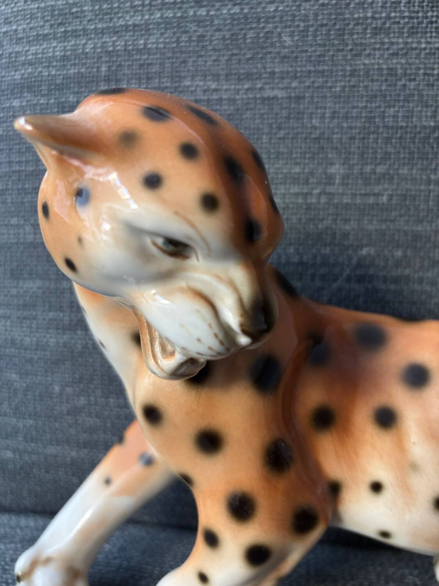 Royal Cheetah Dux