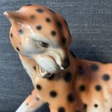 Royal Cheetah Dux